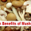 Health Benefits of Mushrooms, weight loss, pregnancy, onions
