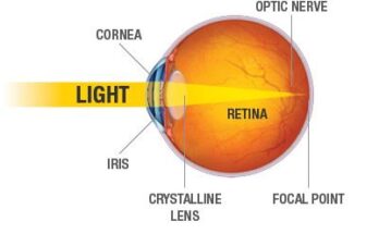 eye-diagram-sharper-vision-centers-torrance-ca