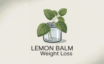 Lemon Balm Weight Loss