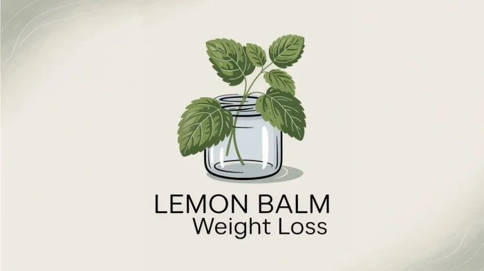 Lemon Balm Weight Loss