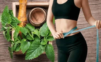 Lemon Balm for Weight Loss