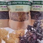 What Is Sea Moss? Benefits, Uses and How to Add It to Your Daily Routine Types of Sea Moss