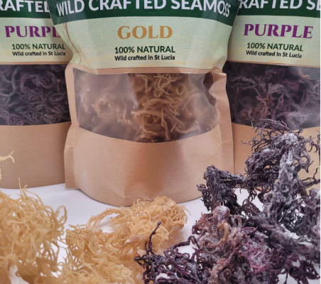 Types of Sea Moss